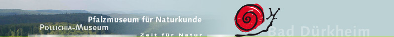 Logo_Pfalzmuseum.jpg